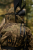 Plecak-harkila-deer-stalker-axis-msp-forest.png