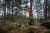 Kurtka dwustronna Meska Harkila Kamko WSP Hunting green MossyOak®Break-up Country