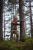 Kurtka dwustronna Meska Harkila Kamko WSP Hunting green MossyOak®Break-up Country