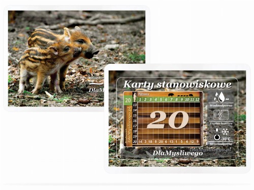 pol_pl_Komplet-karnetow-stanowiskowych-dla-20-mysliwych-warchlaki-590_3.jpg