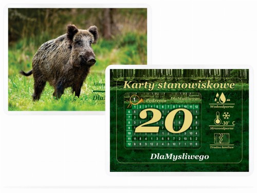 pol_pl_Komplet-karnetow-stanowiskowych-dla-20-mysliwych-Dzik-14954_2.jpg