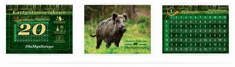 pol_pl_Komplet-karnetow-stanowiskowych-dla-20-mysliwych-Dzik-14954_3.jpg