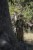 Bluza-Meska-Seeland-Power-Camo-InVis-Green