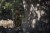 Bluza-Meska-Seeland-Power-Camo-InVis-Green