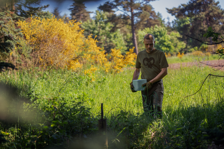 koszulka-Meska-Seeland-Outdoor -pine-green-melange