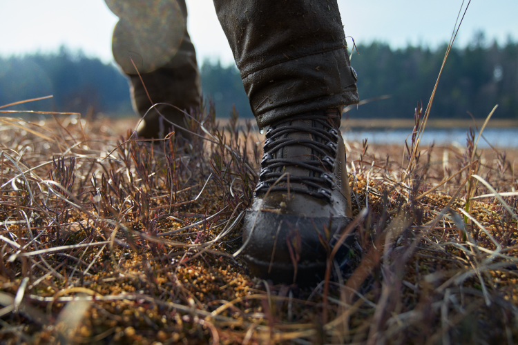 Buty-Meskie-Harkila-Forest-Hunter-Hi-GTX