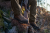 Buty Meskie mysliwskie Harkila Pro Hunter Ledge 2.0 GTX