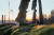 Buty Meskie mysliwskie Harkila Pro Hunter Ledge 2.0 GTX