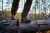 Buty Meskie Harkila Forest Hunter GTX Mid Dark Brown