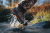Buty-Meskie-Harkila-Moose-Hunter-GTX