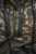 Kurtka-Meska-Seeland-Chaser-Aero-Camo