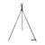 pastoral-primos-trigger-stick-vital.webp