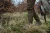 Kalosze-Harkila-Forester-Textile-Willow-green-Deep-brown