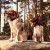 lokalizator-dogtrace-dog-gps-x30b.jpg