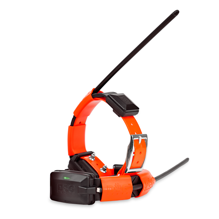 obroza-dla-kolejnego-psa-dogtrace-dog-gps-x30t-pomaranczowy.png