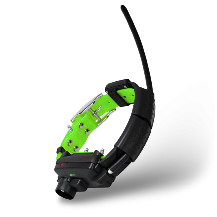 obroza-dla-kolejnego-psa-dogtrace-dog-gps-x30tb-zielony.png