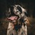 lokalizator-dogtrace-dog-gps-x25tb.jpg