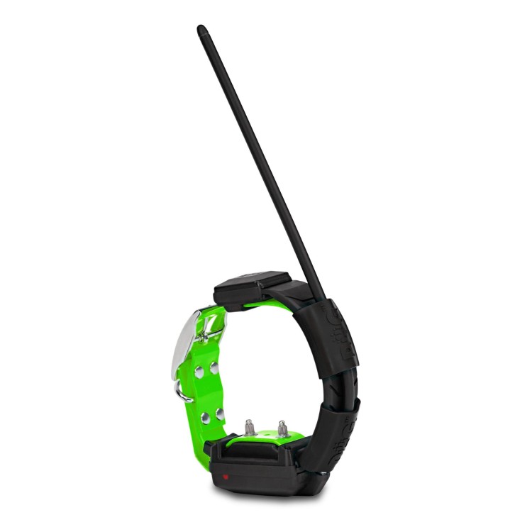 obroza-dla-kolejnego-psa-dogtrace-dog-gps-x25t-zielony.jpg