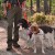 lokalizator-dogtrace-dog-gps-x20.jpg