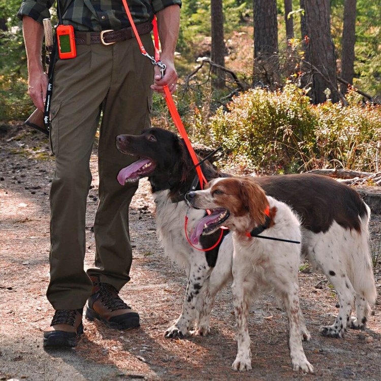 lokalizator-dogtrace-dog-gps-x20.jpg