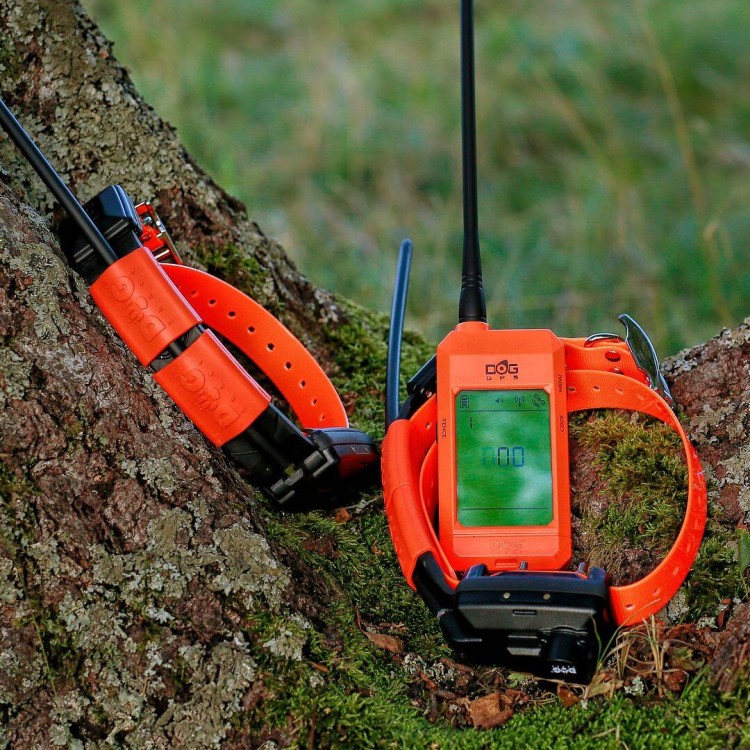 odbiornik-dogtrace-dog-gps-x30-x30-short.jpg