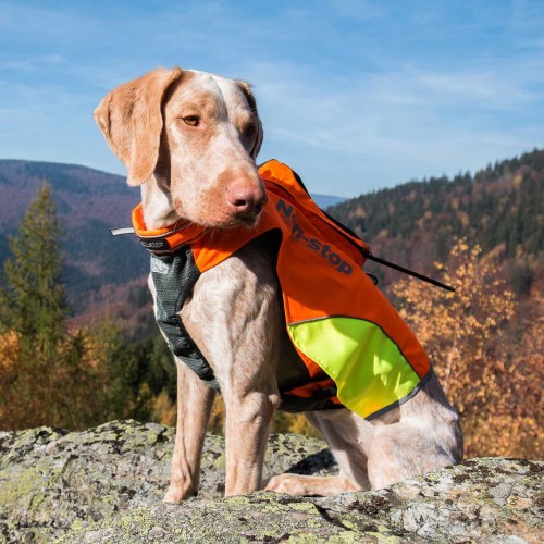 kamizelka-ochronna-dla-psa-dogtrace-dog-gps-s.jpg