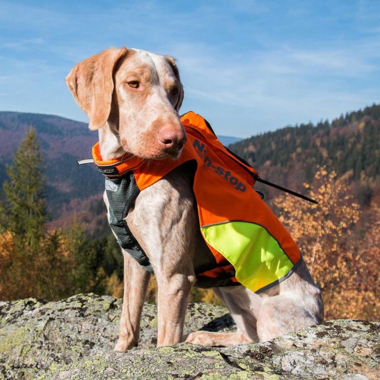 kamizelka-ochronna-dla-psa-dogtrace-dog-gps-s.jpg