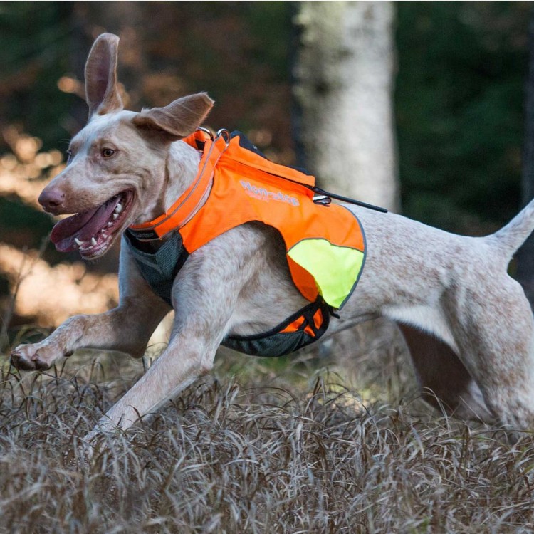 kamizelka-ochronna-dla-psa-dogtrace-dog-gps-m.jpg