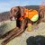 kamizelka-ochronna-dla-psa-dogtrace-dog-gps-m.jpg