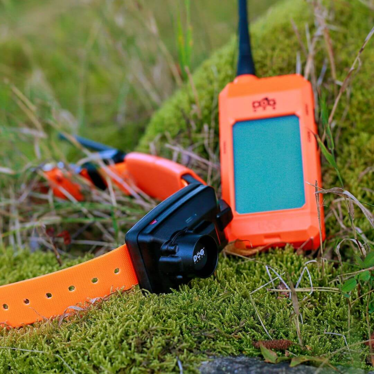obroza-dla-kolejnego-psa-dogtrace-dog-gps-x30b-short.png