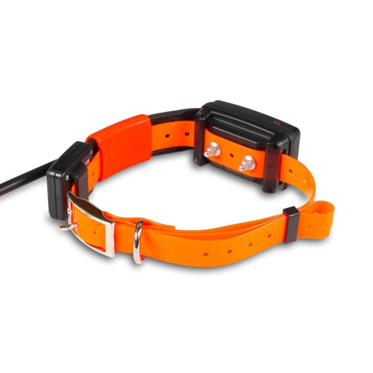 obroza-dla-kolejnego-psa-dogtrace-dog-gps-x30t-short.png