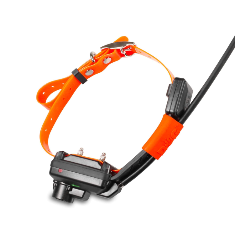 obroza-dla-kolejnego-psa-dogtrace-dog-gps-x25tb-short.png