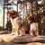 obroza-dla-kolejnego-psa-dogtrace-dog-gps-x20-short.png