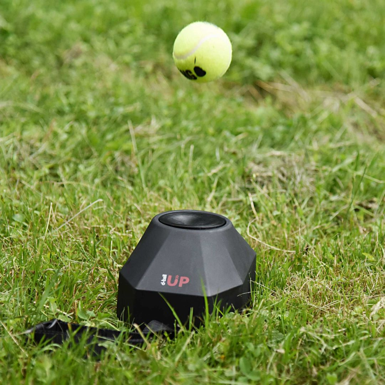 podajnik-pilek-dla-psa-dogtrace-d-ball-up.png