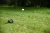 podporka-do-wyrzutnika-pilek-dogtrace-d-ball-up.png