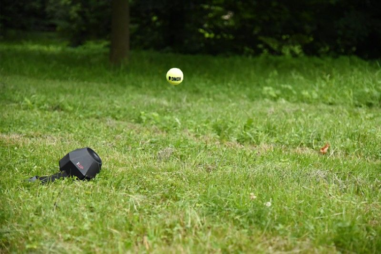 podporka-do-wyrzutnika-pilek-dogtrace-d-ball-up.png