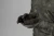 Rekawiczki Harkila NOCTYX camo fleece AXIS MSP Black