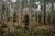 Kurtka-Damska-zimowa-Harkila-Driven-Hunt-z-membrana-HWS