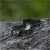 latarka-czolowa-fenix-hp12r-t-czarna.webp