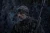 Czapka-Harkila-NOCTYX-camo-AXIS-MSP-Black