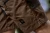 106101049_d01.webp