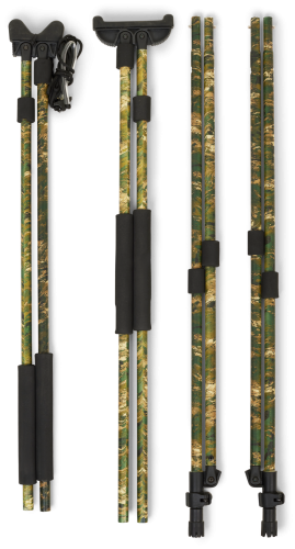 54020038049_d04.png