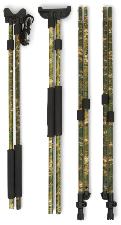 54020038049_d04.png