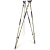 54020038049_f01.png