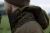 408000015_d03.webp