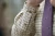 402798035_d03.webp