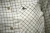 402798035_d04.webp
