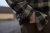 105100197_d03.webp
