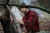 403028006_m01.webp