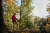 110720087_m07.png